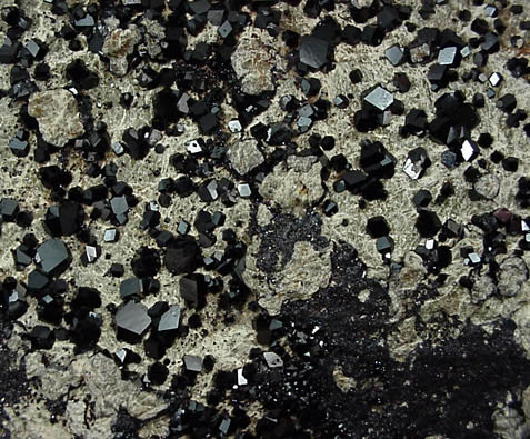 Andradite Garnet var. Melanite from near the Benitoite Gem Mine, San Benito County, California