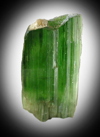 Diopside (Chrome-rich) from Myanmar (Burma)