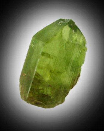 Forsterite var. Peridot from St. John's Island, Red Sea, Egypt