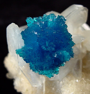 Cavansite on Stilbite from Wagholi Quarry, Maharashtra, India