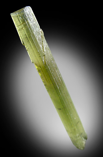 Elbaite Tourmaline from Phakuwa Mine, Sankhuwa Sabha District, Kosi Zone, Nepal