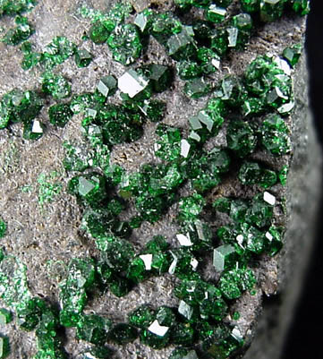 Uvarovite Garnet from Saranovskoye Mine, Sarany, Permskaya Oblast', Ural Mountains, Russia (Type Locality for Uvarovite)