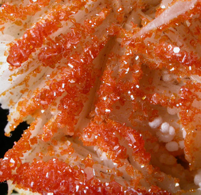 Vanadinite on Barite from Mibladen, Morocco