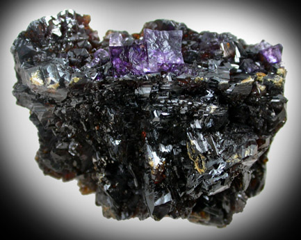 Fluorite on Sphalerite from Elmwood Mine, Carthage, Smith County, Tennessee