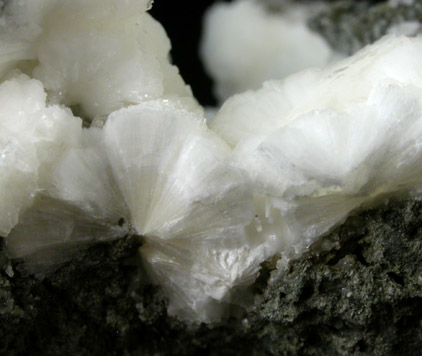 Natrolite from Millington Quarry, Bernards Township, Somerset County, New Jersey