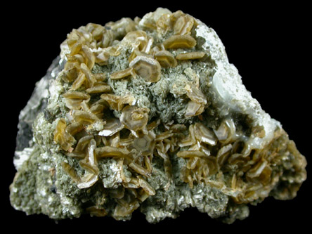 Arsenopyrite and Siderite from Panasqueira Mine, Barroca Grande, 21 km. west of Fundao, Castelo Branco, Portugal