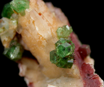 Grossular Garnet on Prehnite from Jeffrey Mine, Asbestos, Qubec, Canada