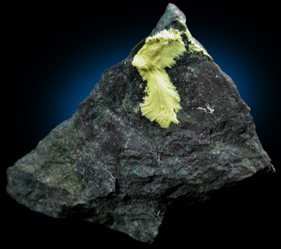 Volborthite from Chuquicamata, Antofagasta, Chile