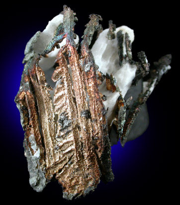Silver and Calcite from Andres del Rio District, Batopilas, Chihuahua, Mexico