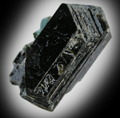 Phlogopite with Fluorapatite from Slyudyanka, Lake Baikal area, Irkutskaya Oblast', Russia