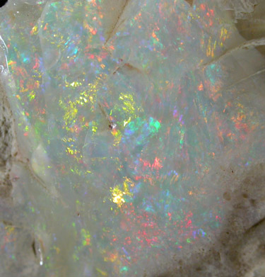 Opal from Mintabie Field, South Australia, Australia