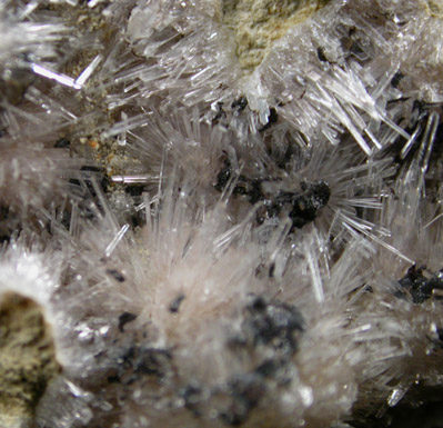 Kutnohorite and Aragonite from Levane, Val D'Arno, Tuscany, Italy