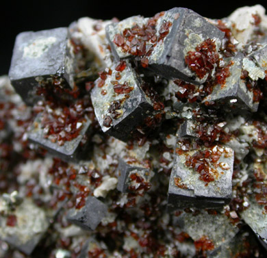 Sphalerite on Galena from Treece, Cherokee County, Kansas