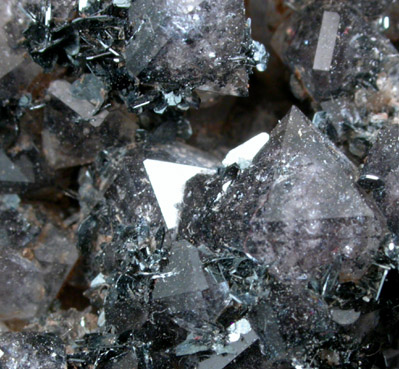 Hematite on Smoky Quartz from Max Tessmer Farm, Chub Lake, near Hailesboro, Gouverneur, St. Lawrence County, New York