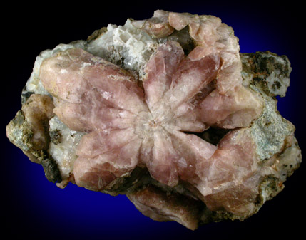 Quartz - Flower Formation from Seiseralpe, Bolzano, Trentino-Alto Adige, Italy