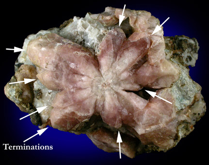 Quartz - Flower Formation from Seiseralpe, Bolzano, Trentino-Alto Adige, Italy
