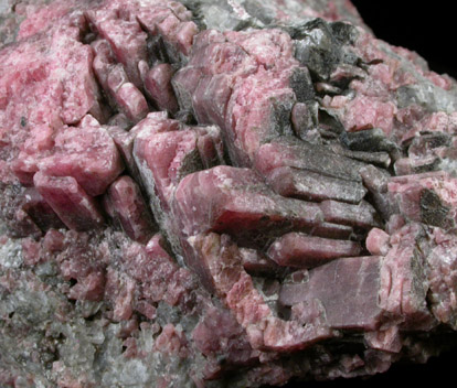 Rhodonite from Trotter Mine Dump, Franklin Mining District, Sussex County, New Jersey