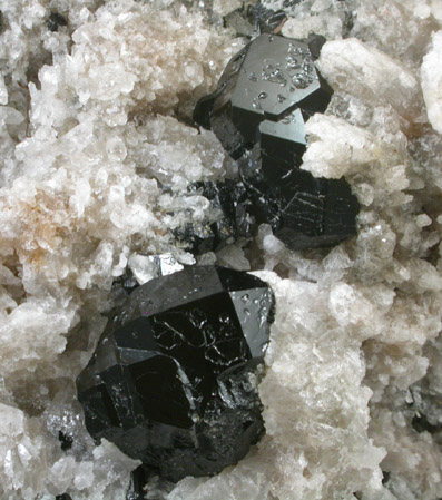 Dravite-Uvite Tourmaline on Quartz from Bower Power's Farm, Pierrepont, St. Lawrence County, New York