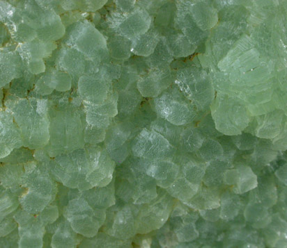 Prehnite and Datolite with casts after Anhydrite from Lane's Quarry, Westfield, Hampden County, Massachusetts