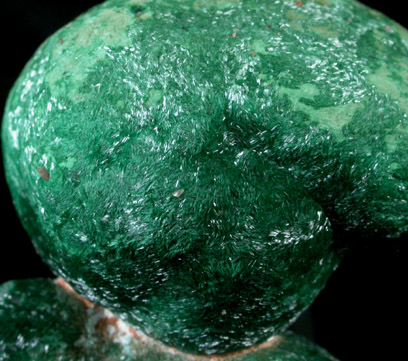 Atacamite from Mount Gunson Mine, South Australia, Australia