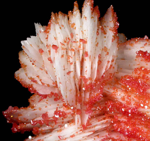 Vanadinite on Barite from Mibladen, Haute Moulouya Basin, Zeida-Aouli-Mibladen belt, Midelt Province, Morocco