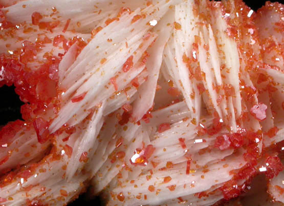 Vanadinite on Barite from Mibladen, Haute Moulouya Basin, Zeida-Aouli-Mibladen belt, Midelt Province, Morocco