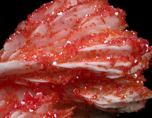 Vanadinite on Barite from Mibladen, Haute Moulouya Basin, Zeida-Aouli-Mibladen belt, Midelt Province, Morocco