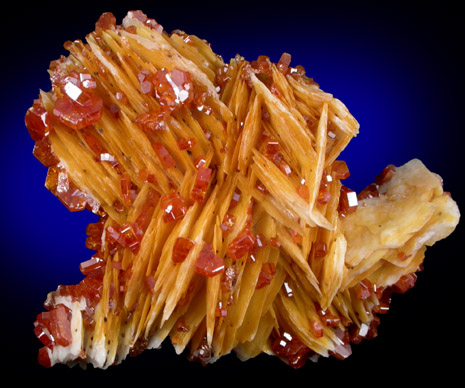 Vanadinite on Barite from Mibladen, Haute Moulouya Basin, Zeida-Aouli-Mibladen belt, Midelt Province, Morocco