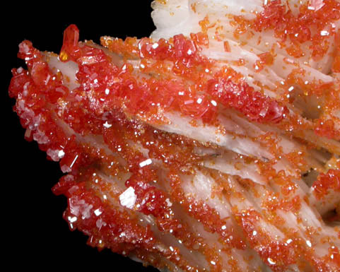 Vanadinite on Barite from Mibladen, Haute Moulouya Basin, Zeida-Aouli-Mibladen belt, Midelt Province, Morocco