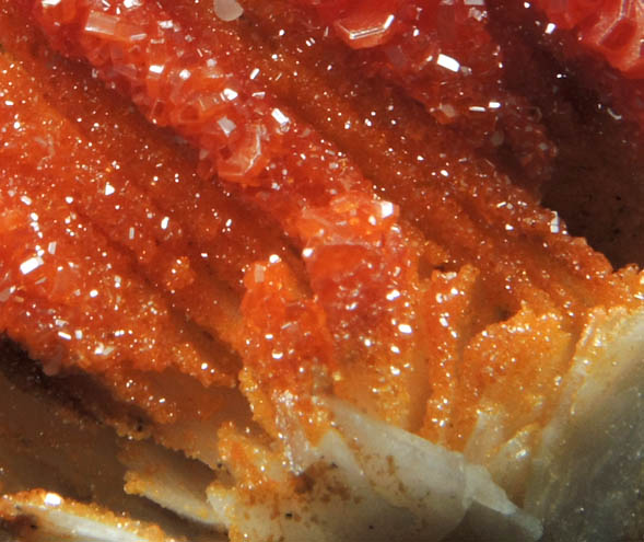 Vanadinite on Barite from Mibladen, Haute Moulouya Basin, Zeida-Aouli-Mibladen belt, Midelt Province, Morocco