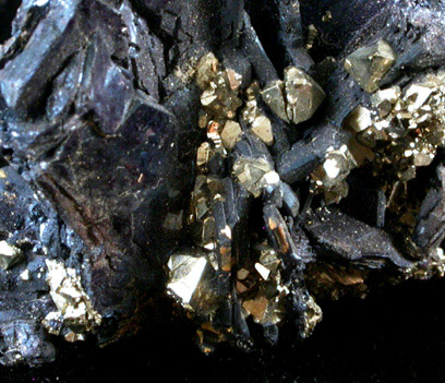 Covellite and Pyrite from Leonard Mine, Butte Mining District, Summit Valley, Silver Bow County, Montana