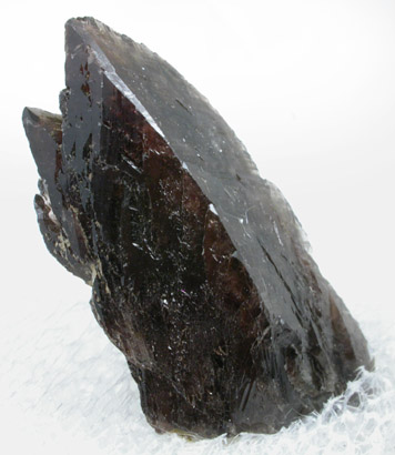 Axinite-(Fe) from Dalnegorsk, Primorskiy Kray, Russia