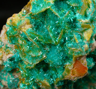 Dioptase, Wulfenite, Willemite from Mammoth-St. Anthony Mine, Tiger, Pinal County, Arizona