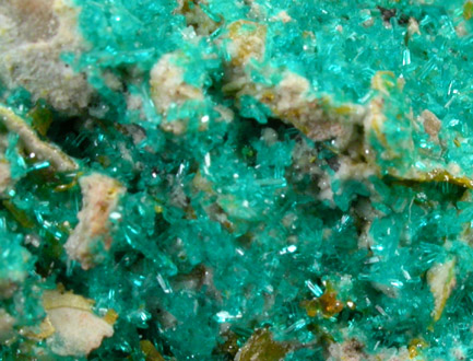 Dioptase, Wulfenite, Willemite from Mammoth-St. Anthony Mine, Tiger, Pinal County, Arizona