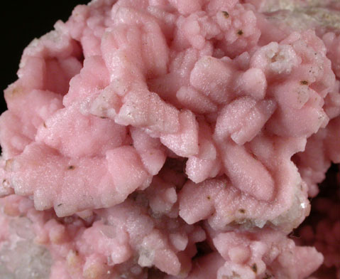 Rhodochrosite pseudomorphs after Calcite from Taxco de Alarcon, Guerrero, Mexico