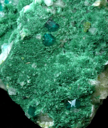 Dioptase on Malachite and Duftite from Tsumeb Mine, Otavi-Bergland District, Oshikoto, Namibia (Type Locality for Duftite)