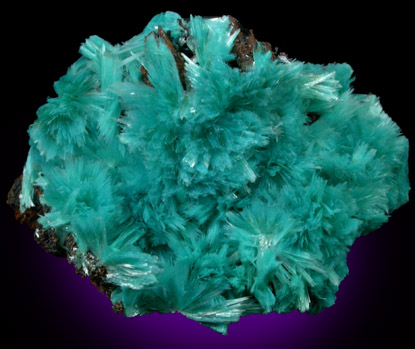 Aurichalcite from 79 Mine, Banner District, near Hayden, Gila County, Arizona