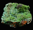 Austinite with Conichalcite from Mina Ojuela, Mapimi, Durango, Mexico