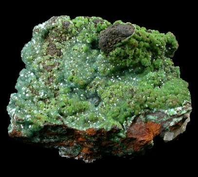 Austinite with Conichalcite from Mina Ojuela, Mapimi, Durango, Mexico