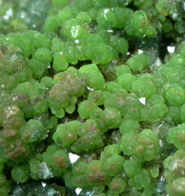 Austinite with Conichalcite from Mina Ojuela, Mapimi, Durango, Mexico