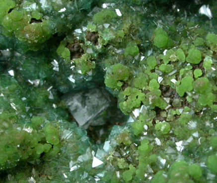 Austinite with Conichalcite from Mina Ojuela, Mapimi, Durango, Mexico