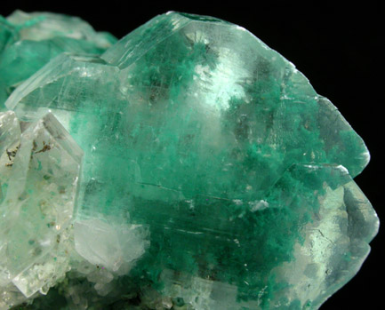 Gypsum var. Selenite with Atacamite inclusions from Lily Mine, Pisco Province, Ica Department, Peru