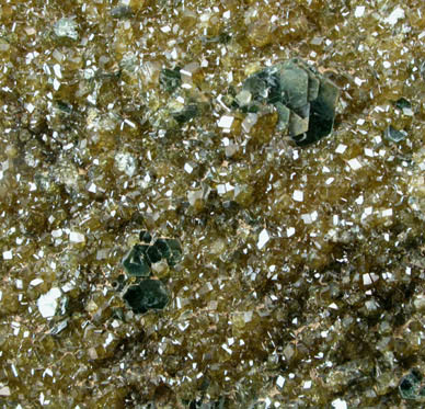 Clinochlore and Andradite Garnet from Atlas Mine, Fresno County, California