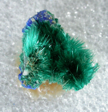 Brochantite from Hansonburg District, 8.5 km south of Bingham, Socorro County, New Mexico