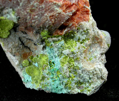 Volborthite from Monument No. 1 Mine, 26 km north of Kayenta, Navajo County, Arizona