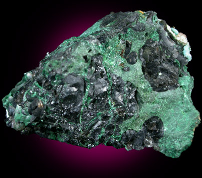 Heterogenite in Malachite from Musonoi Mine, Kolwezi District, Katanga Copperbelt, Lualaba Province, Democratic Republic of the Congo