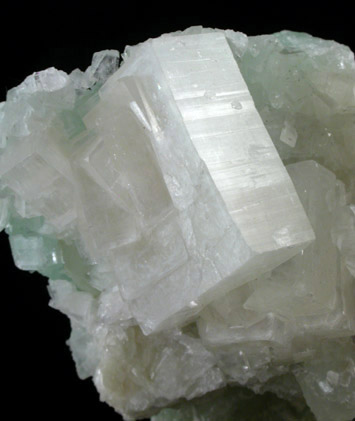 Hydroxyapophyllite-(K) (formerly apophyllite-(KOH)) on Prehnite from Fairfax Quarry, 6.4 km west of Centreville, Fairfax County, Virginia