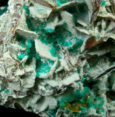 Dioptase from Mammoth-St. Anthony Mine, Tiger, Pinal County, Arizona