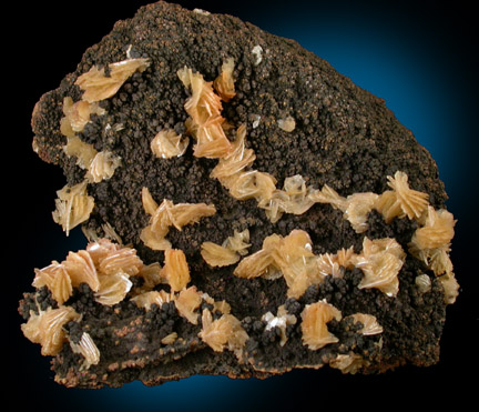 Barite on Goethite from Mina Ojuela, Mapimi, Durango, Mexico