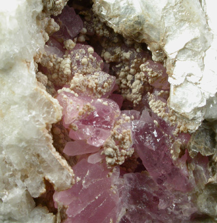 Quartz var. Rose Quartz Crystals with Cookeite from Rose Quartz Locality, Plumbago Mountain, Oxford County, Maine